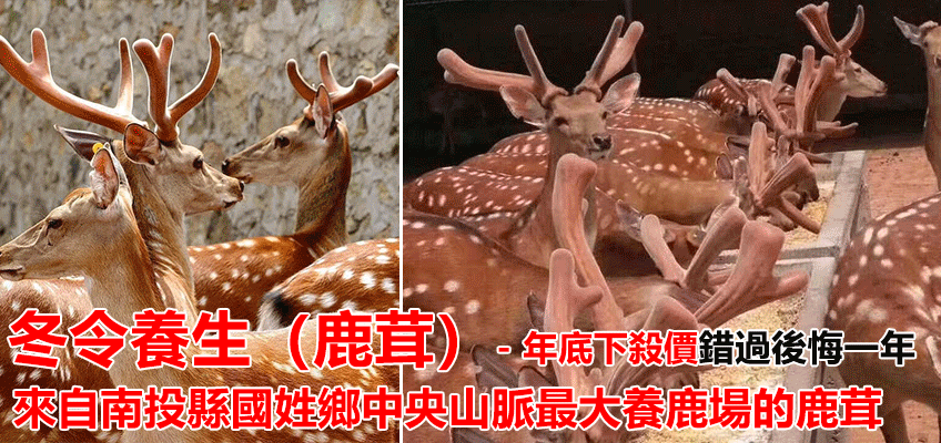 企业微信截图_17037548038525.gif
